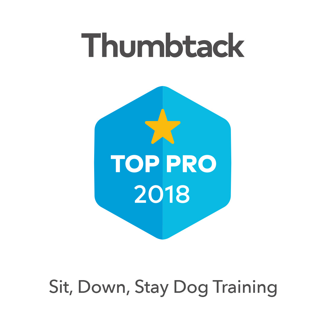 Thumbtack top pro 2018
